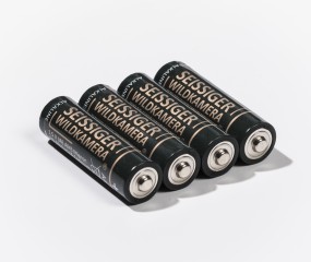 Alkaline Batterien 1,5V (AA / Mignon / LR6 ) - 4er-Blister