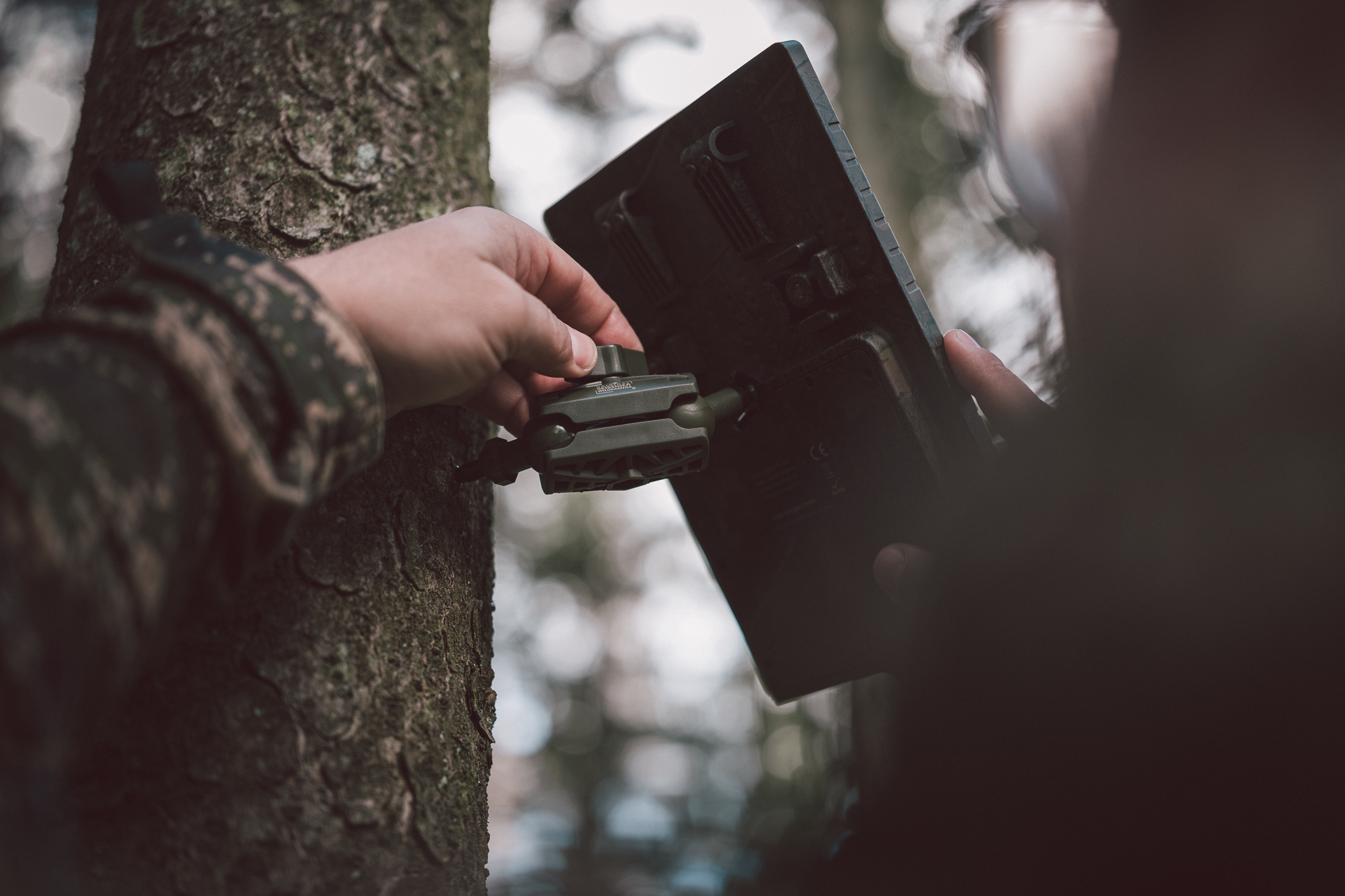 Baumstativ mit Kugelgelenken