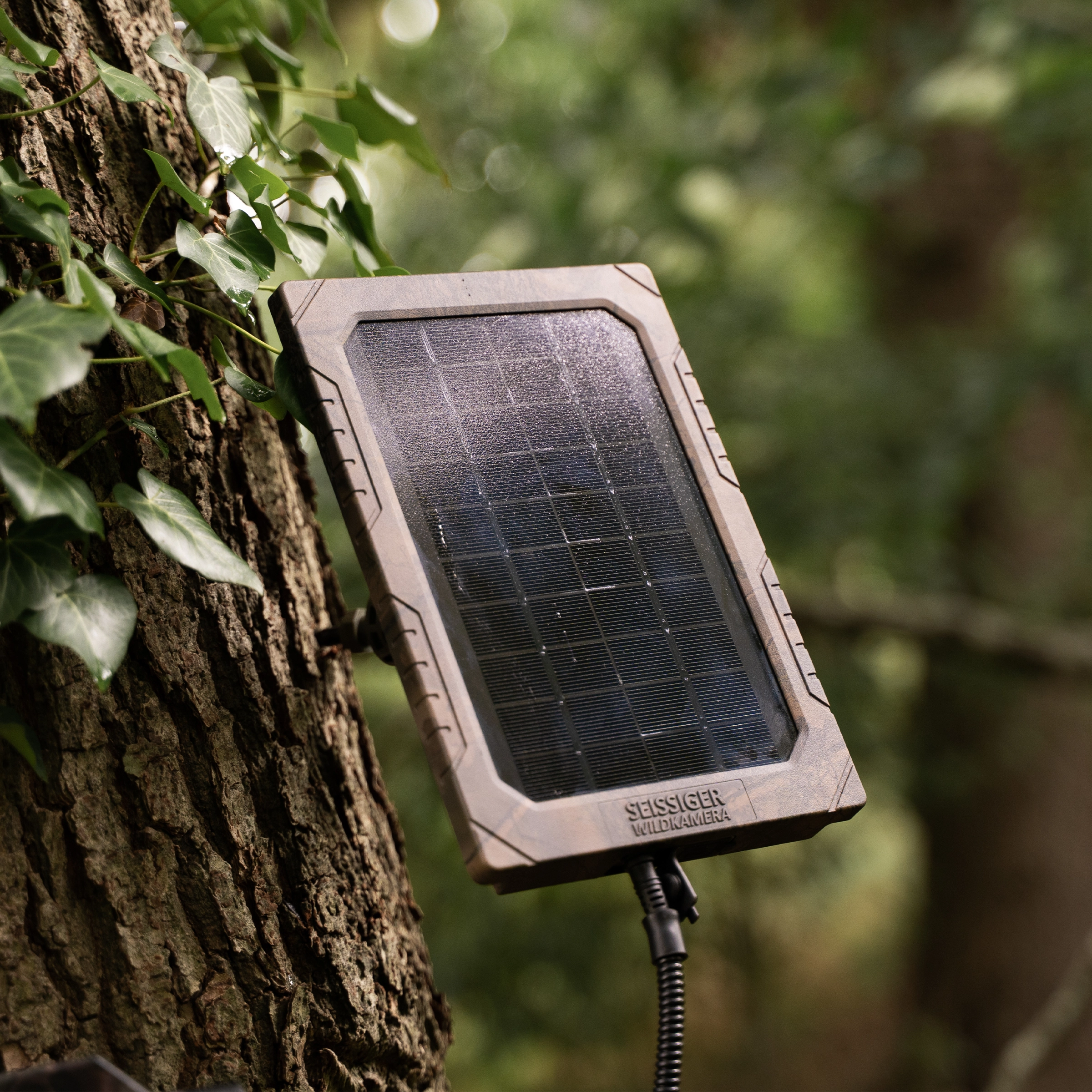 SEISSIGER Solarpanel am Baum befestigt