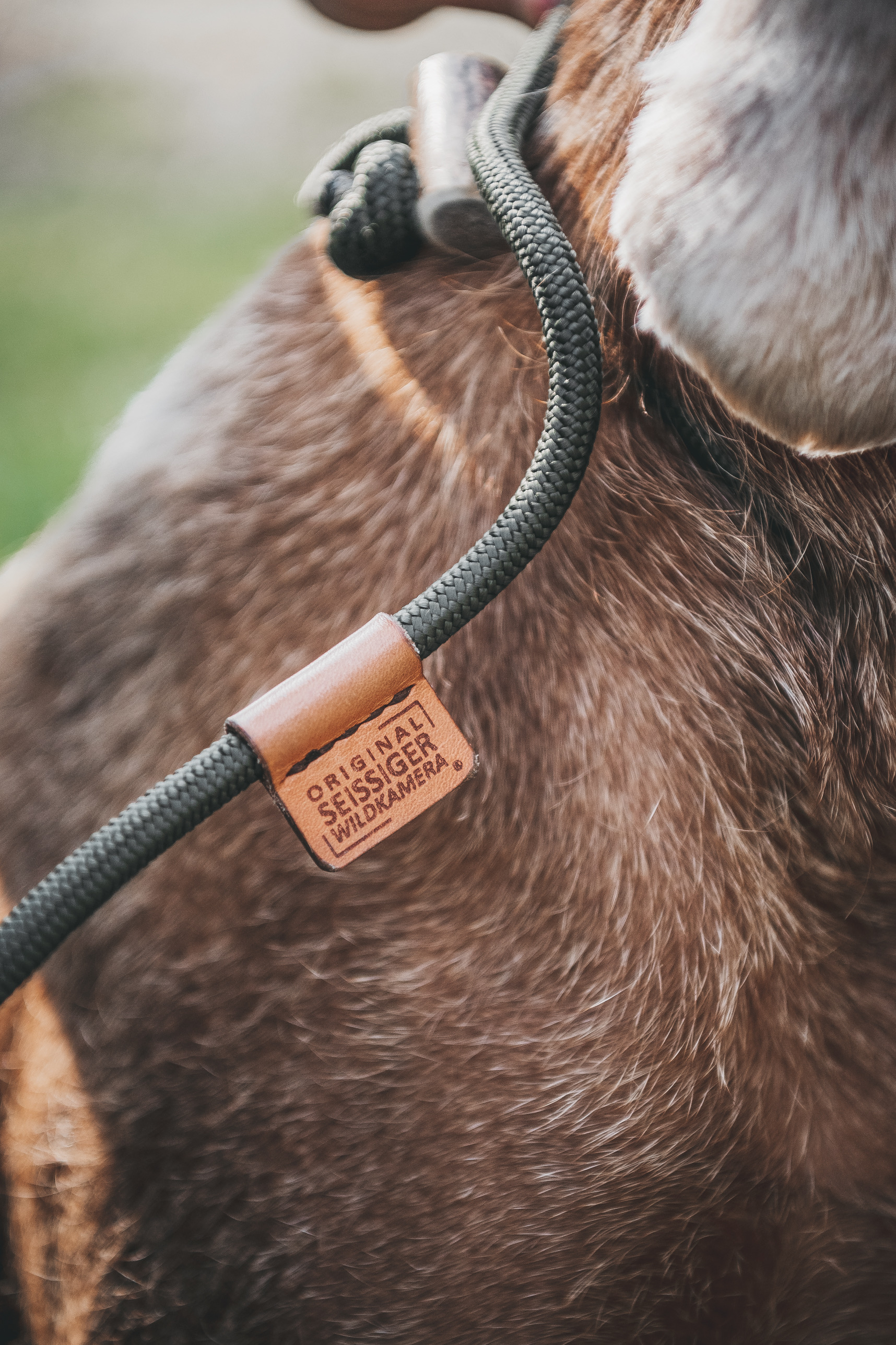 SEISSIGER Hundeleine