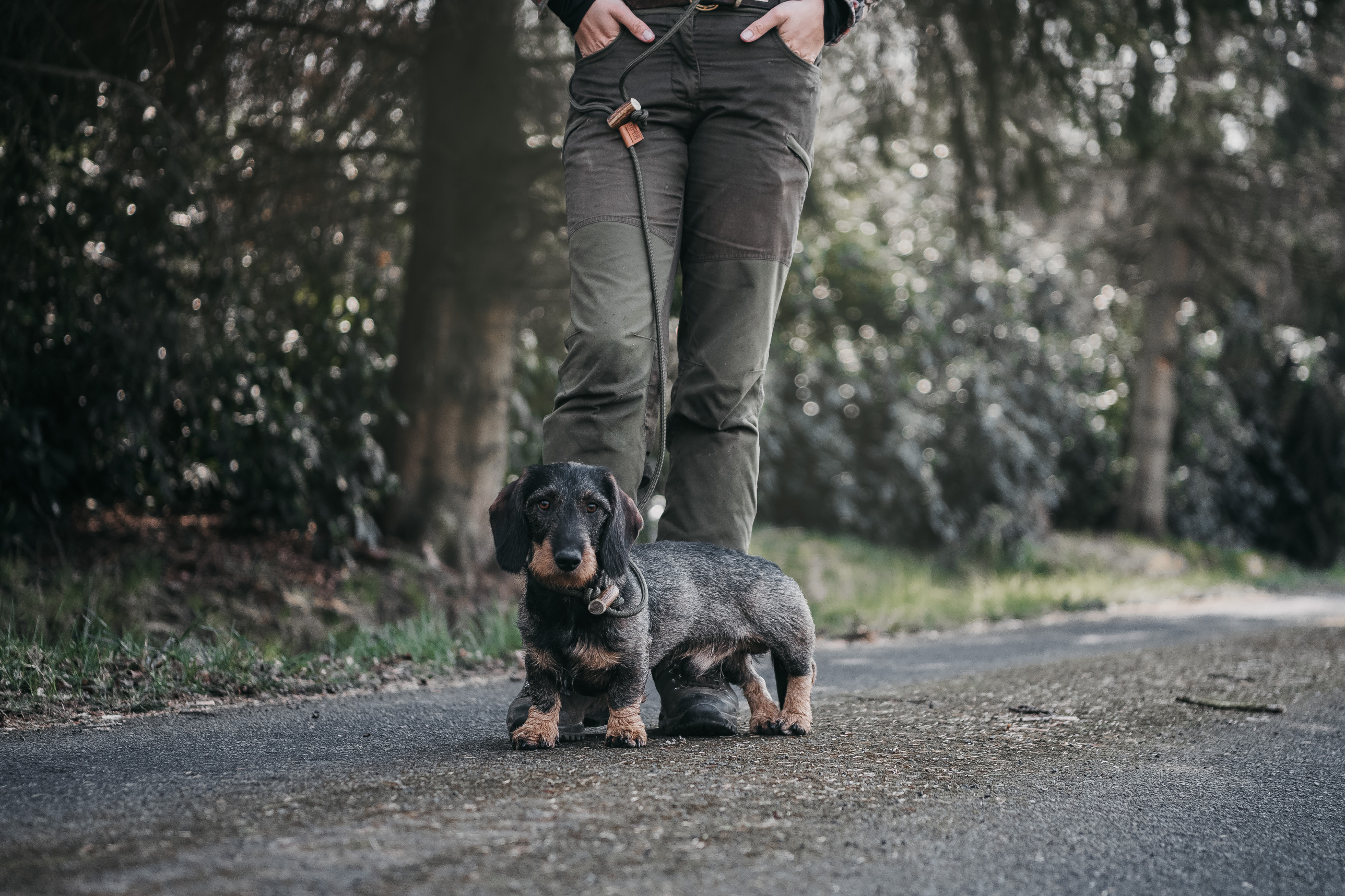 SEISSIGER Hundeleine