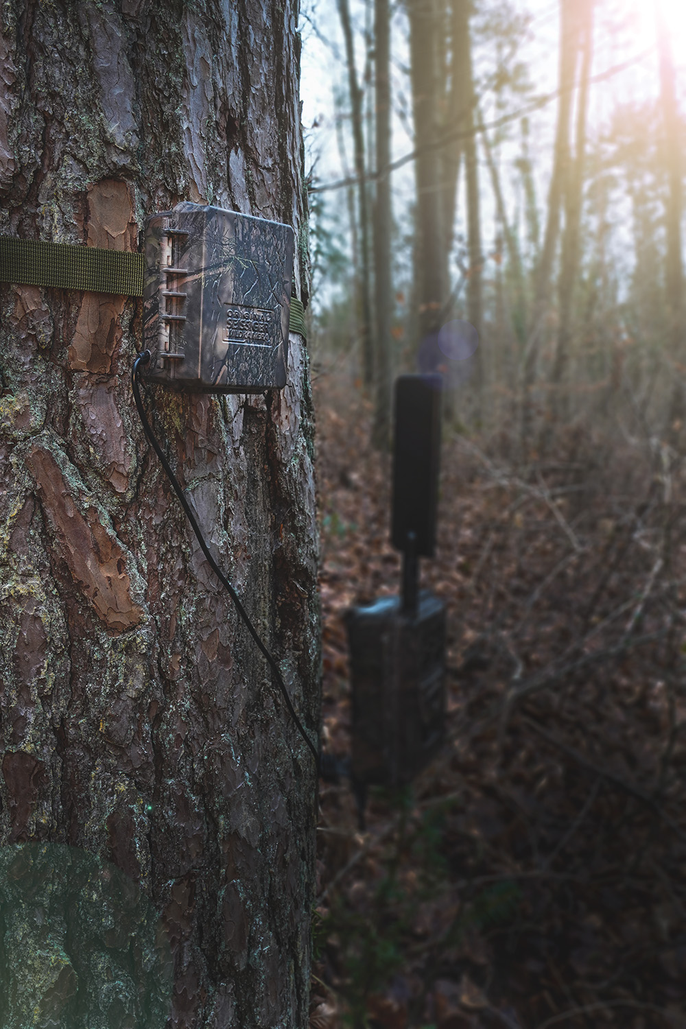 Externer Akkupack für Wildkameras