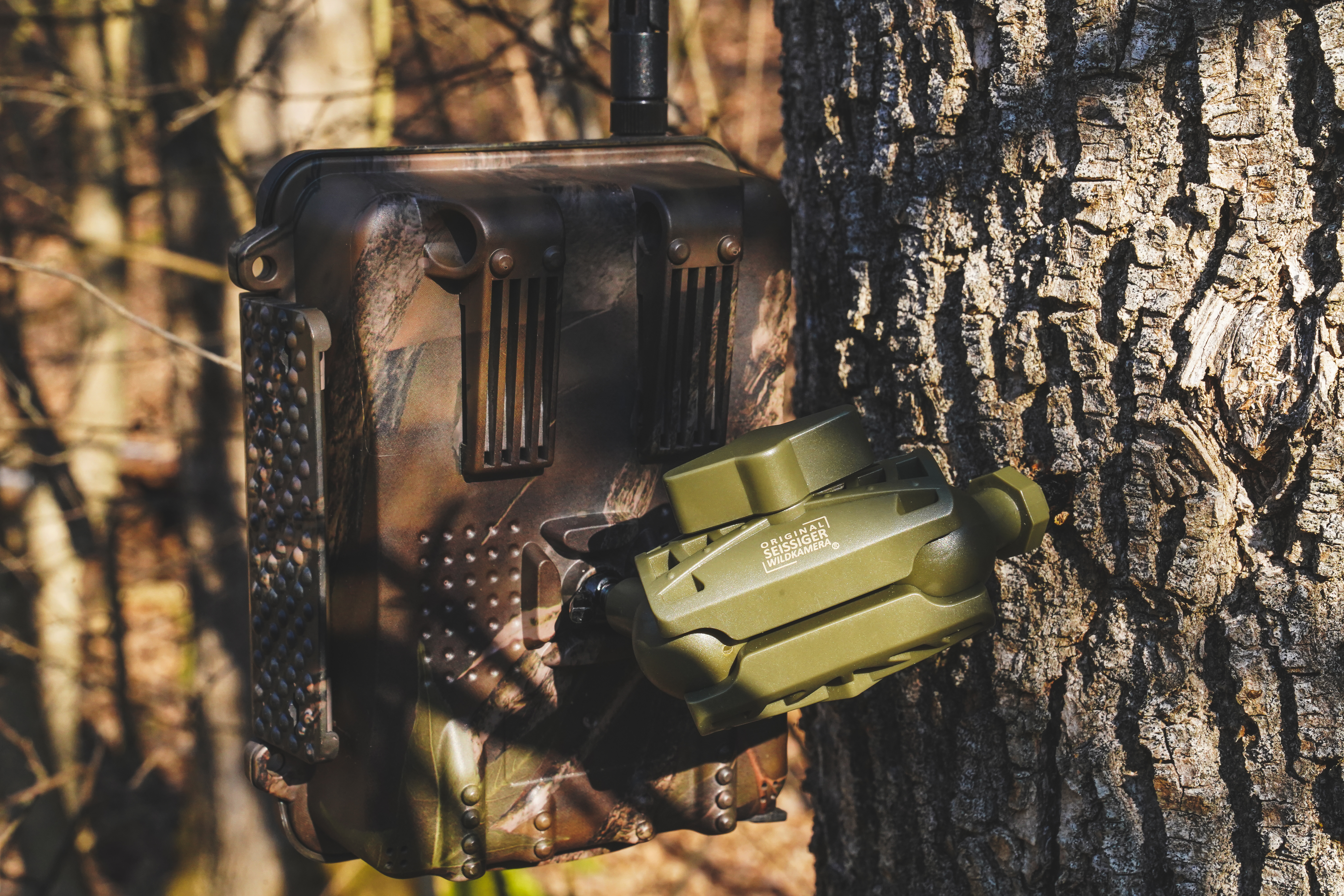 Baumstativ mit Kugelgelenken